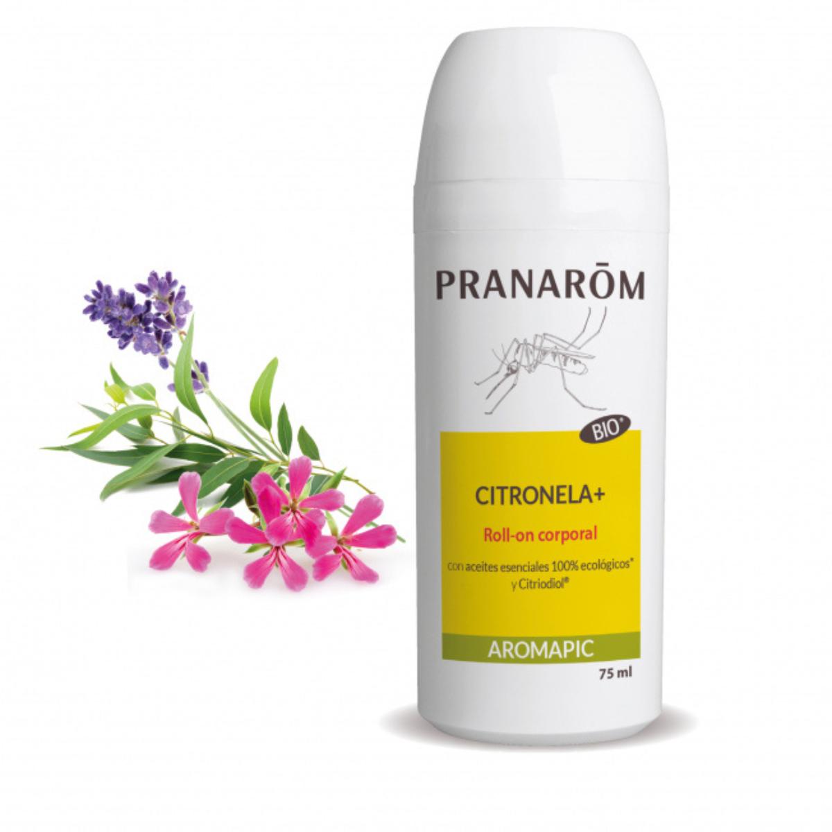 Roll-on citronnelle plus BIO (ECO) Pranarôm 75 ml