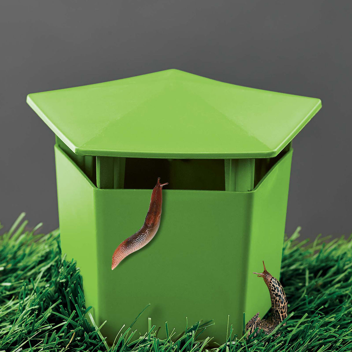 Snail and slug trap, 2 units, Verdemax
