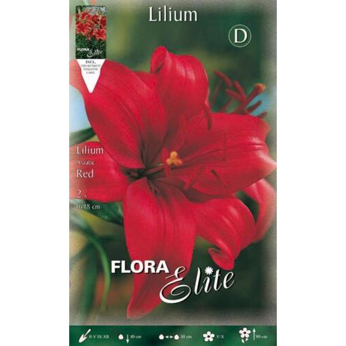 Bulbo Lilium asiatico rosso 2 pezzi