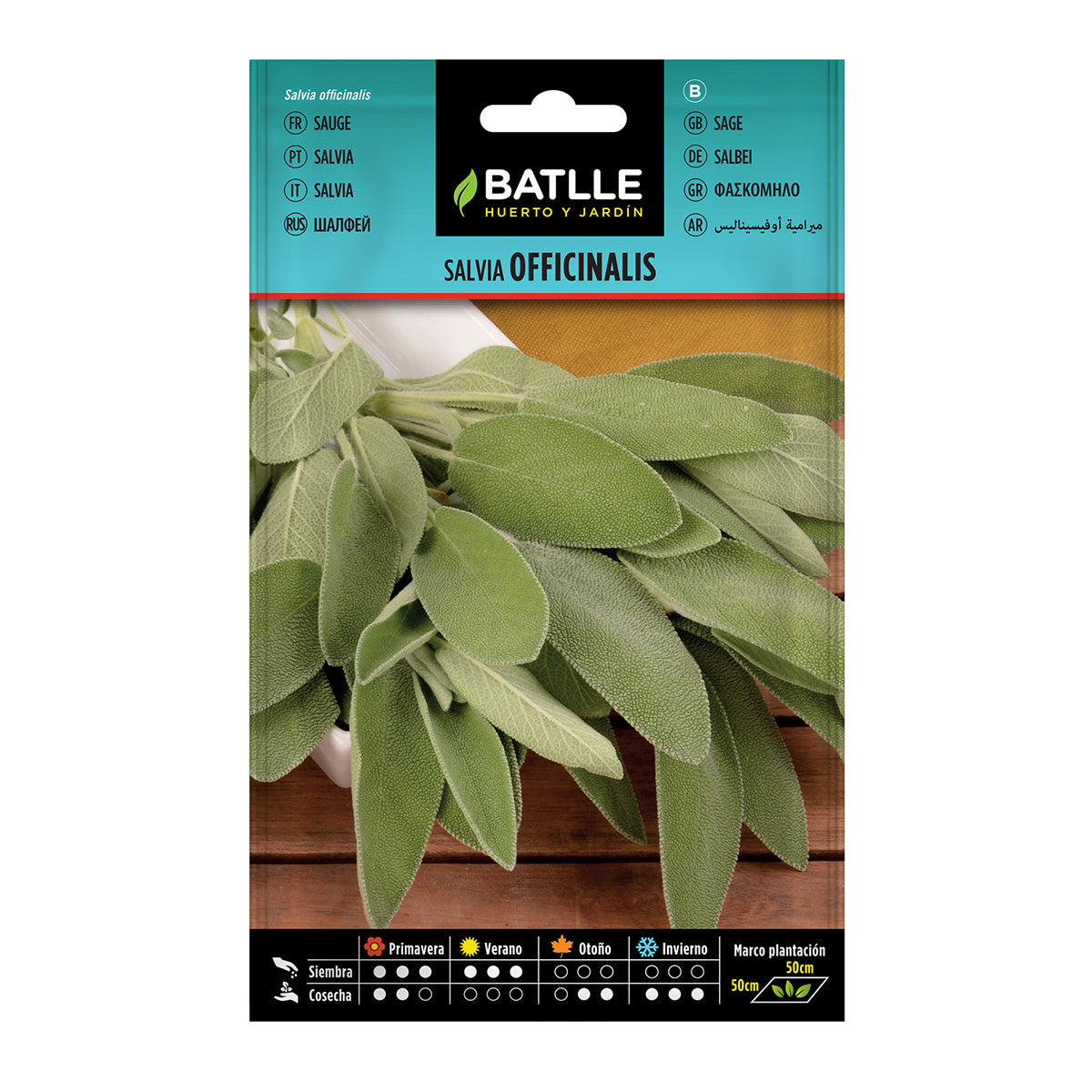 Semi di Salvia officinalis Batlle
