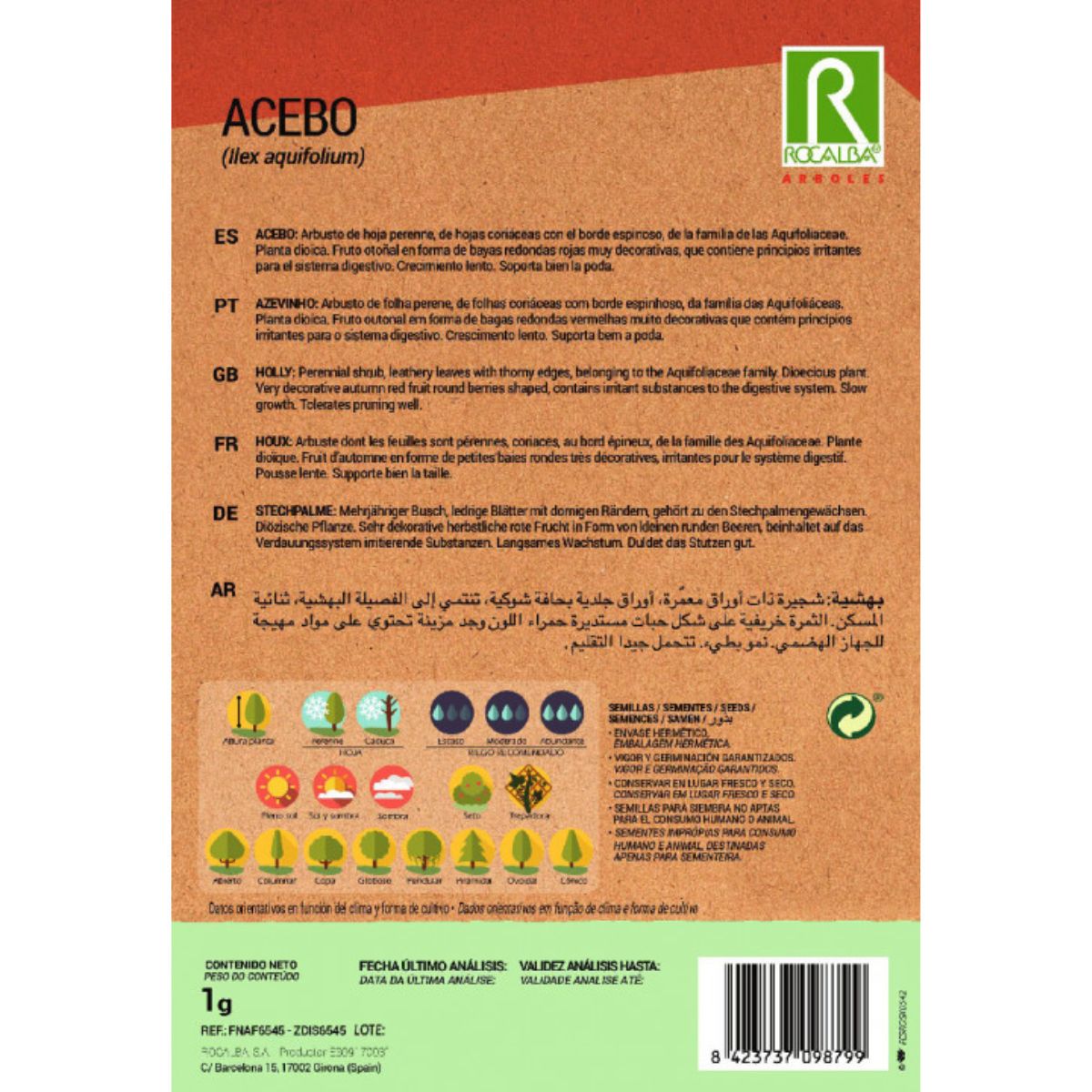 Nasiona ostrokrzewu Ilex aquifolium