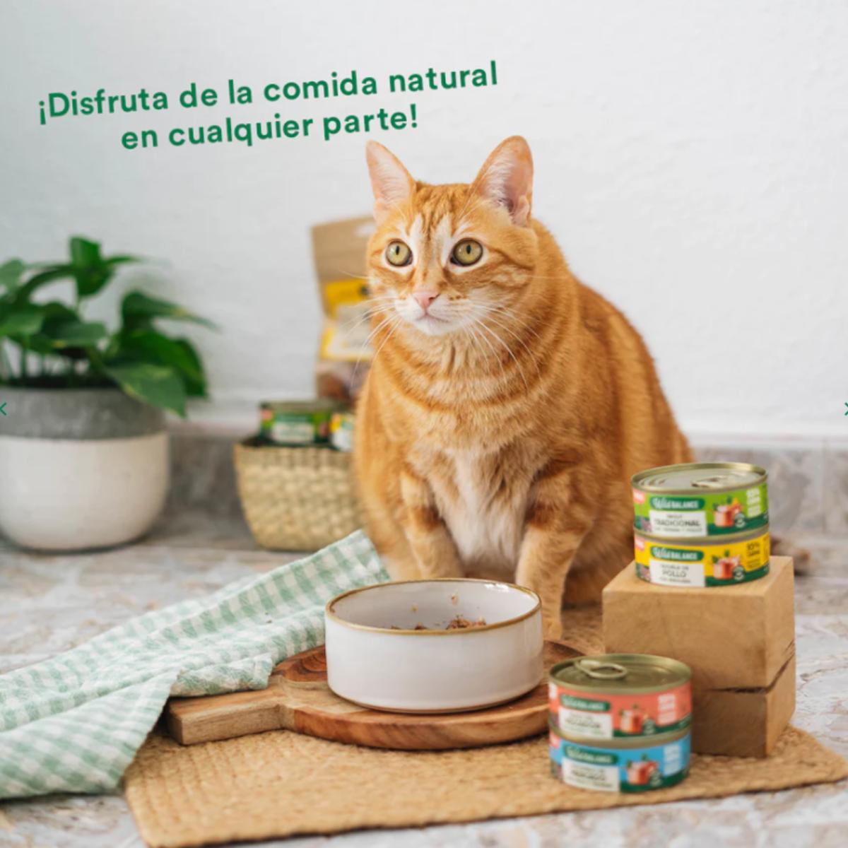 Dose Wild Balance Hühnerfleisch für Katzen 80 g