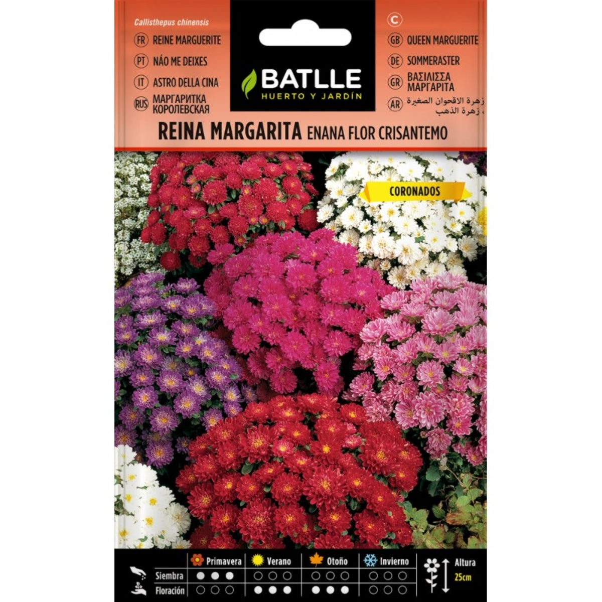 Frön av dvärg margerita, krysantemum Batlle