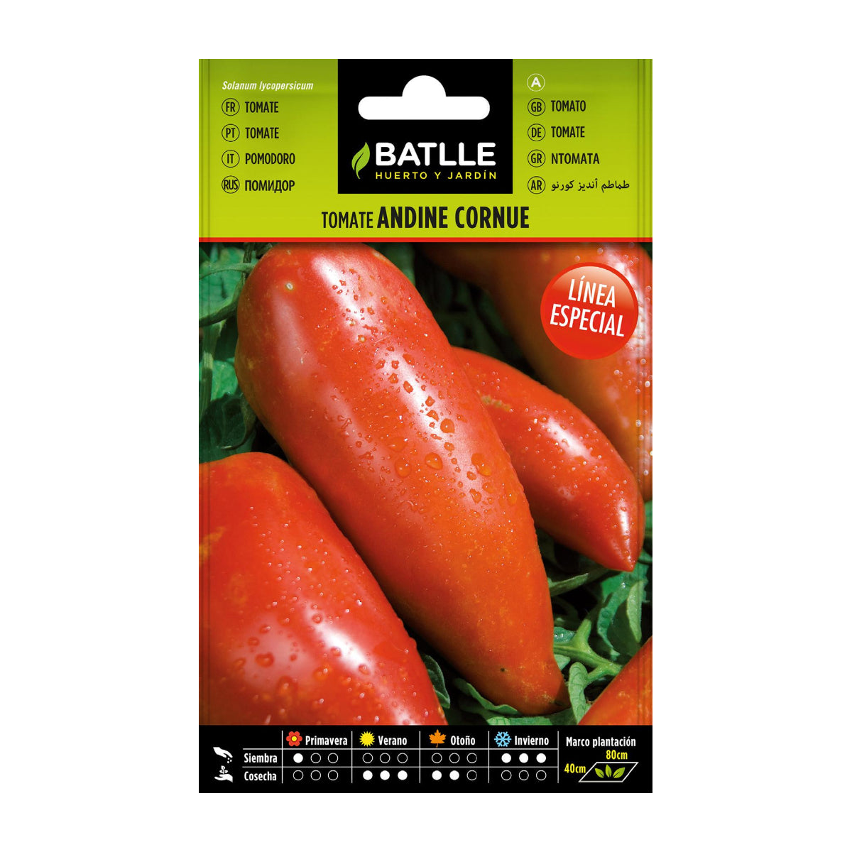 Andina Cornue Batlle-tomatenzaadjes