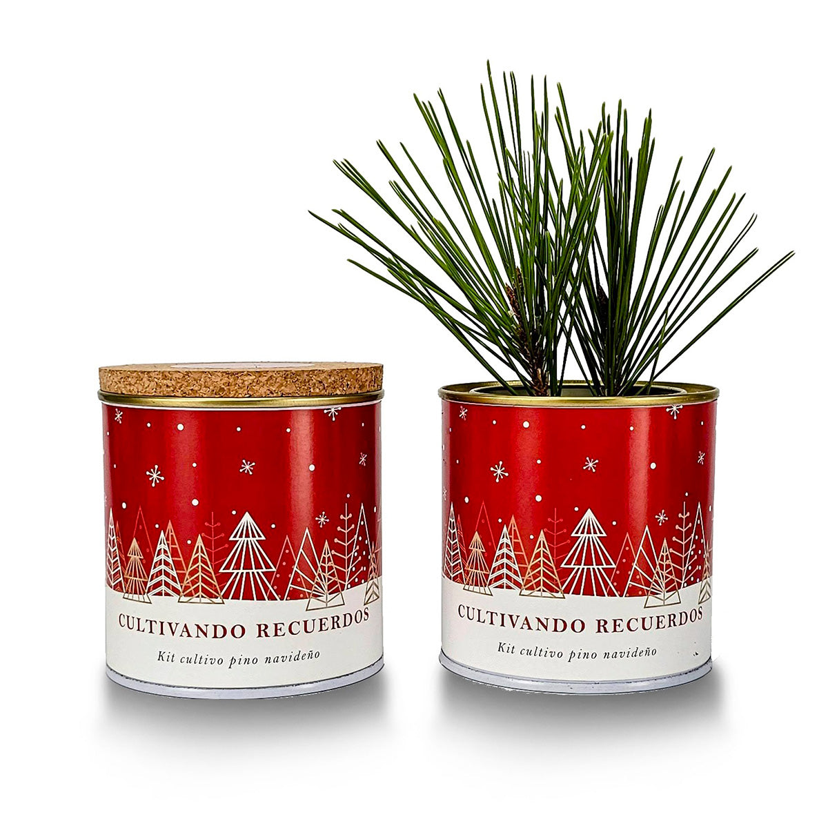 Kit de culture « Plantez votre propre sapin de Noël », cadeau idéal Garden Pocket