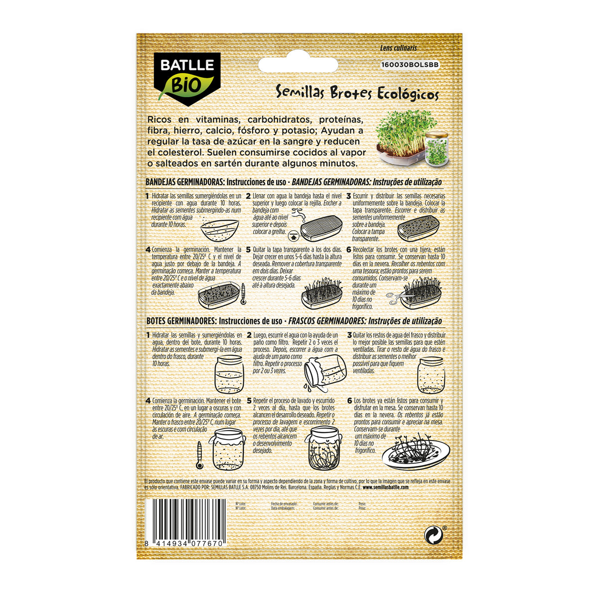 Organic lentil seeds for sprouting Batlle