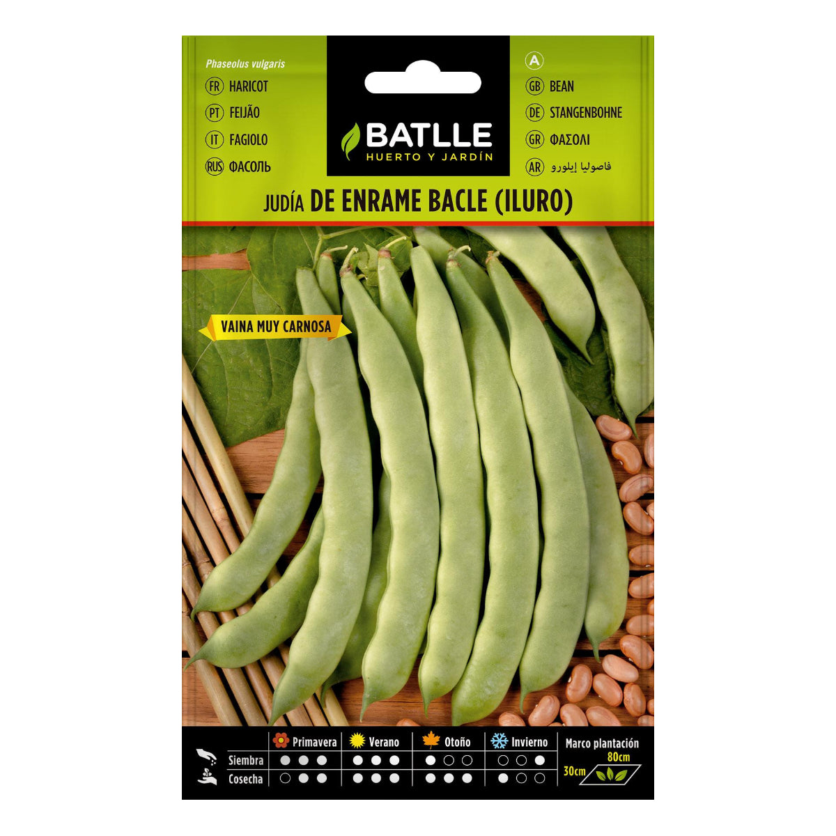 Nasiona fasoli Iluro 100 g