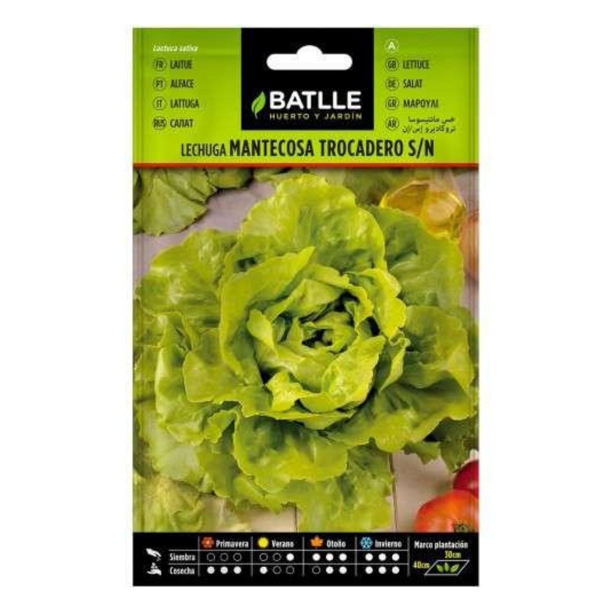 Semi di lattuga Trocadero Batlle