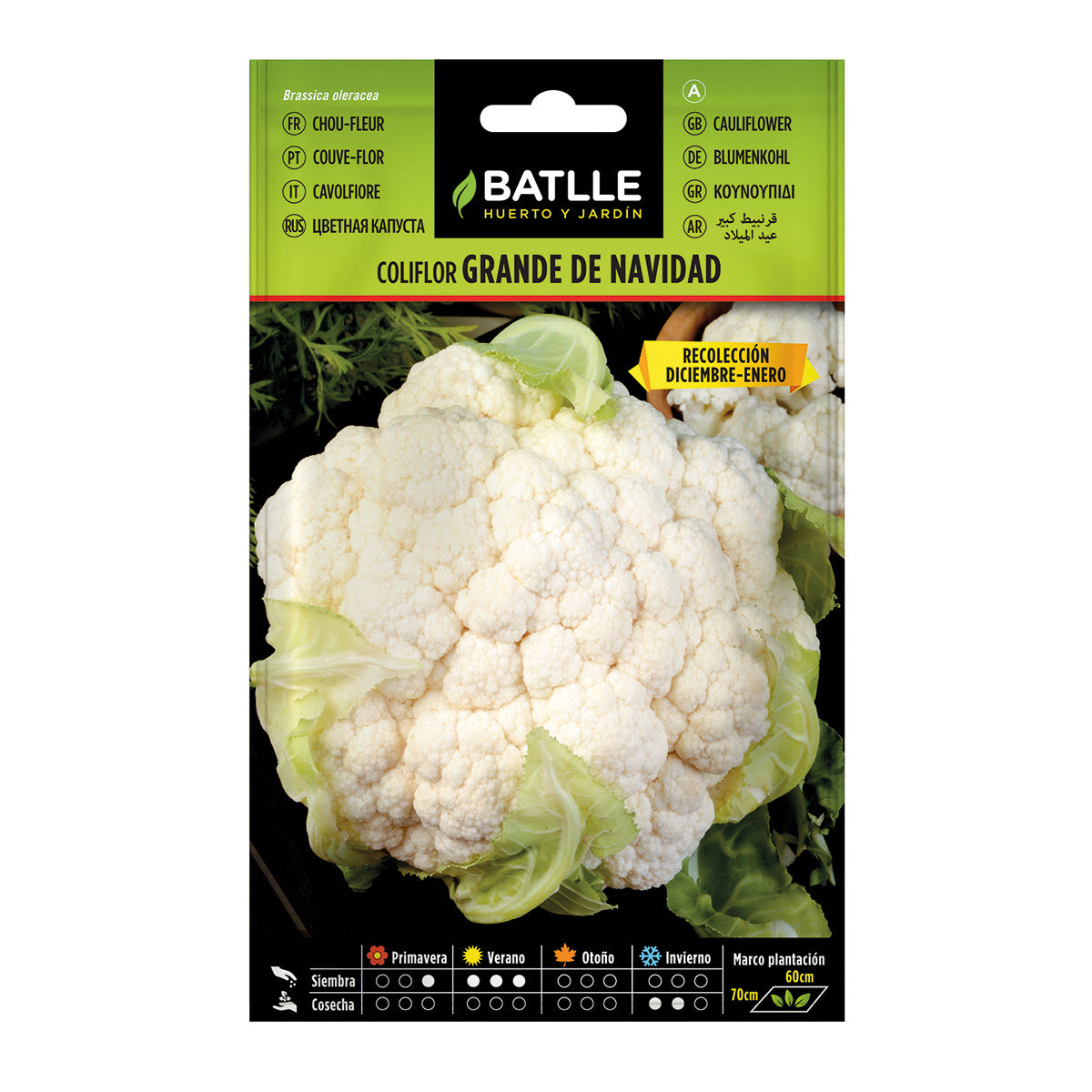 Batlle Large Christmas Cauliflower Seeds