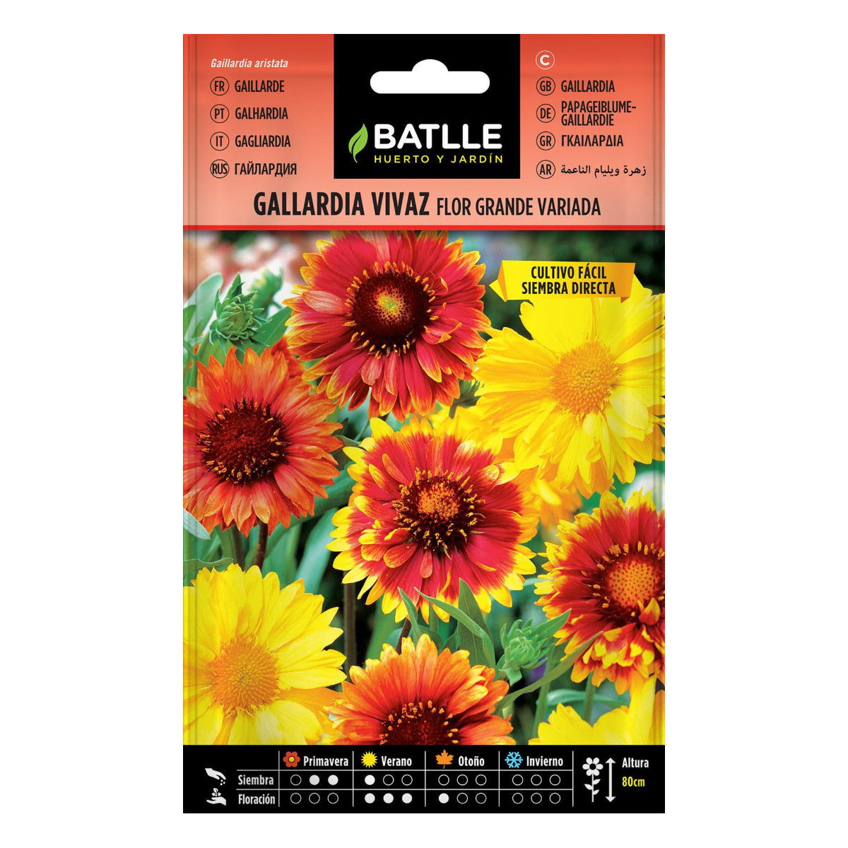 Graines de Gallardia vivace Batlle