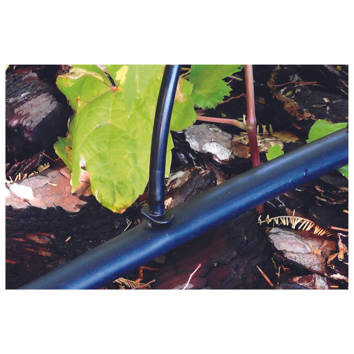 Łącznik mikrotuby 4 mm Planeta Huerto 10 sztuk