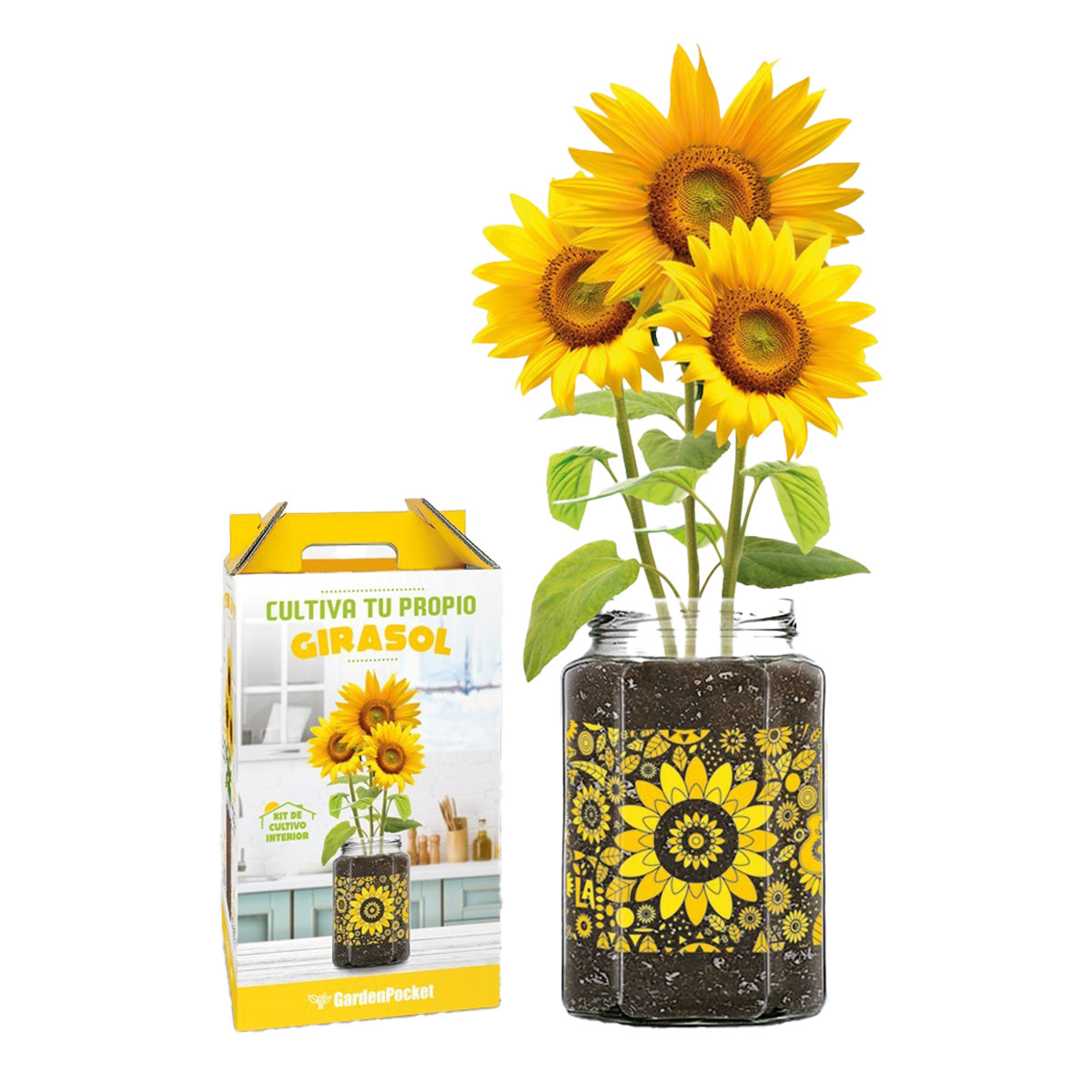 Kit di coltivazione "Coltiva il tuo girasole", Garden Pocket