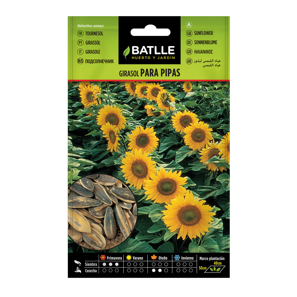 Sunflower seeds for snacks Batlle