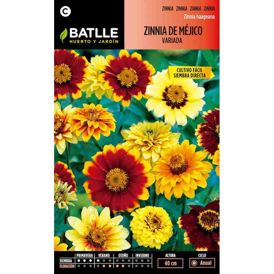 Batlle Assorted Mexican Zinnia Seeds