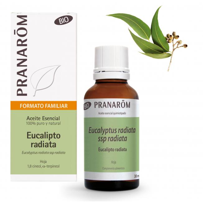 Aceite esencial Eucalipto Radiata Hoja Bio Pranarom 30 ml