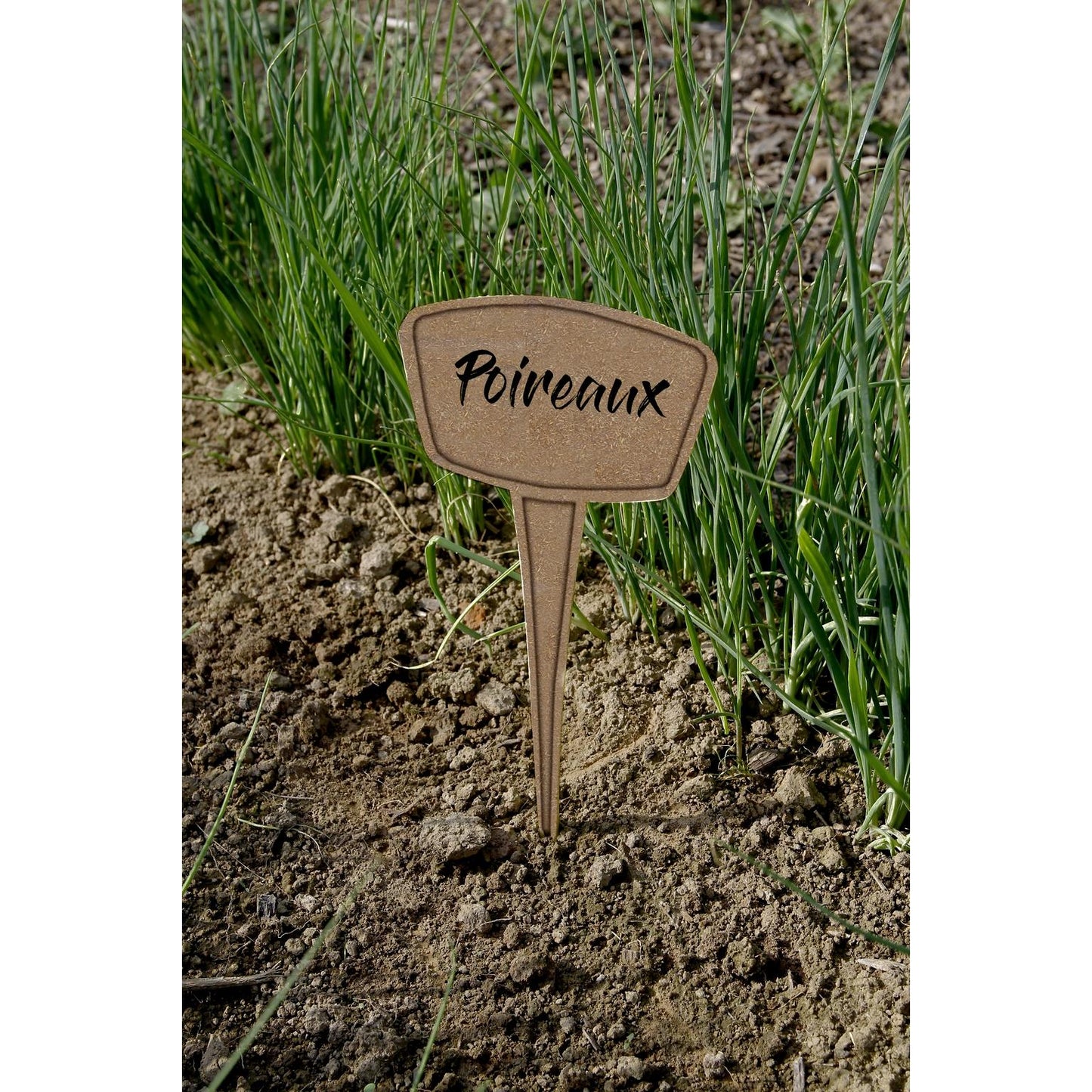 Pack de 5 étiquettes de plantation 30 % fibre écologique