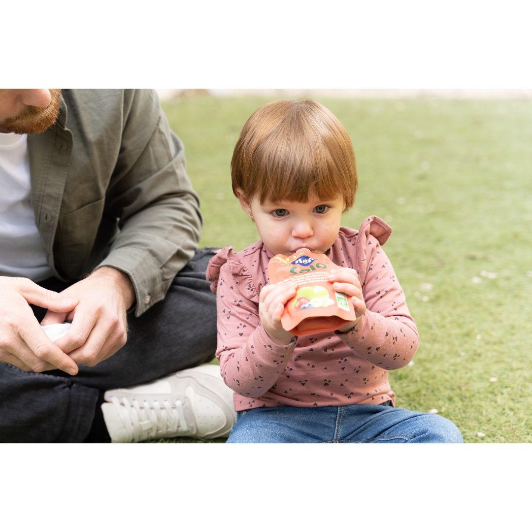 Saszetki owocowe 100% ekologiczne o smaku jabłkowym, truskawkowym, bananowym i jagodowym 4x100 g-Hero Solo