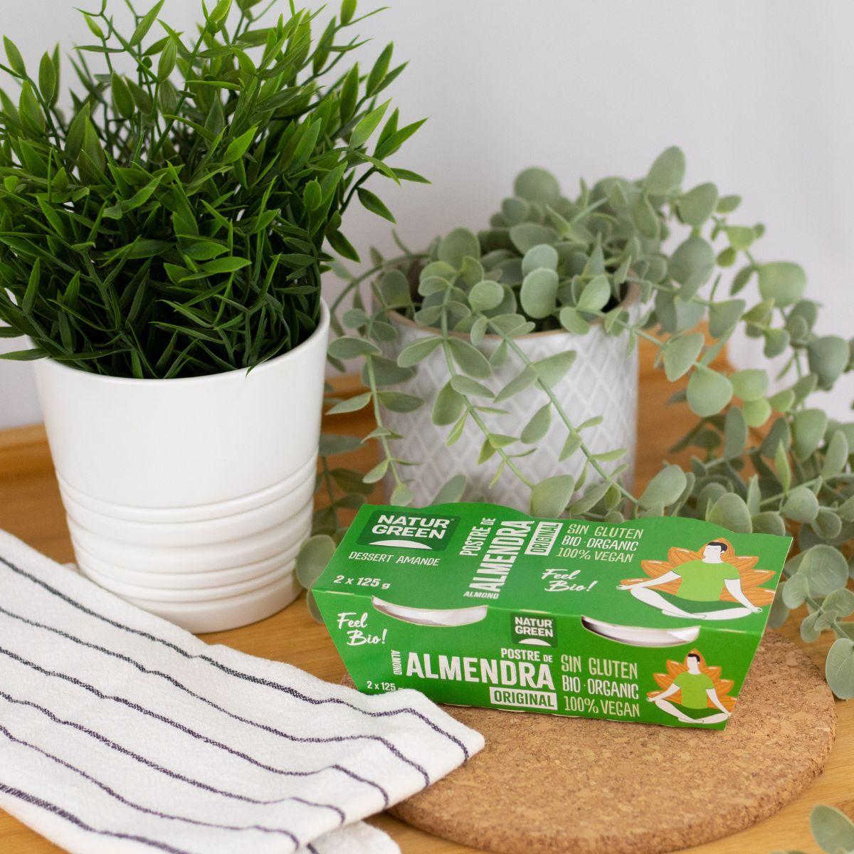 NaturGreen Vanille-Mandel-Dessert, 2 x 125 g