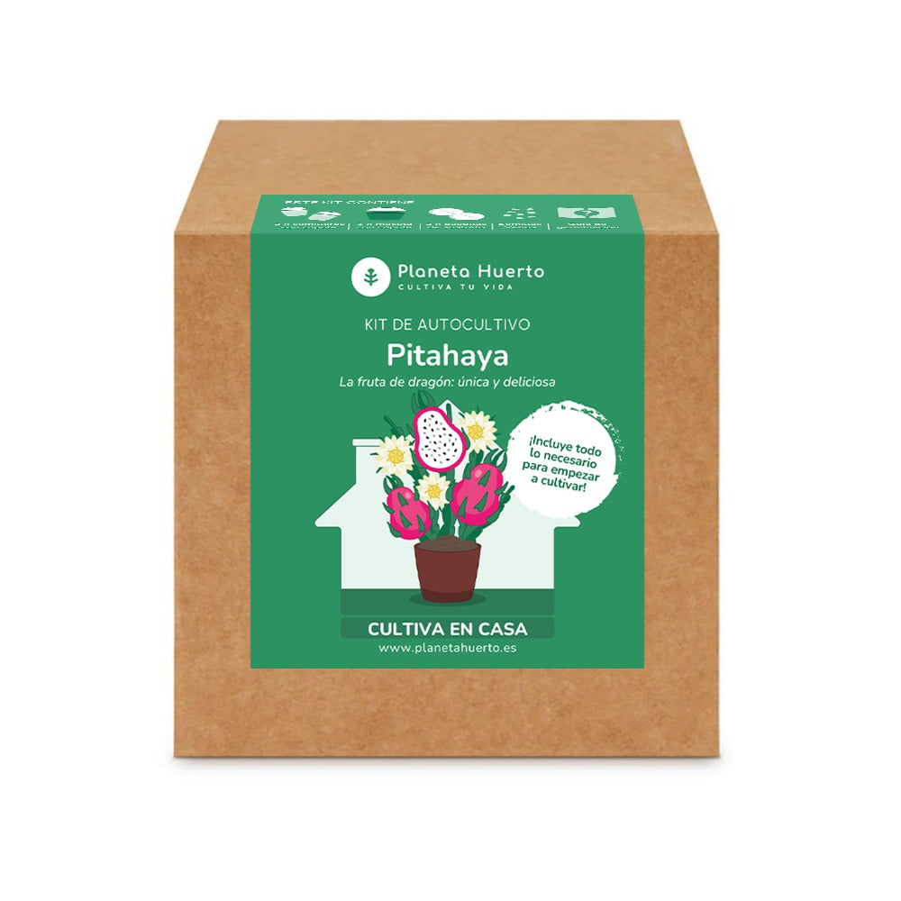 Dragon fruit Pitahaya self-cultivation kit Planeta Huerto