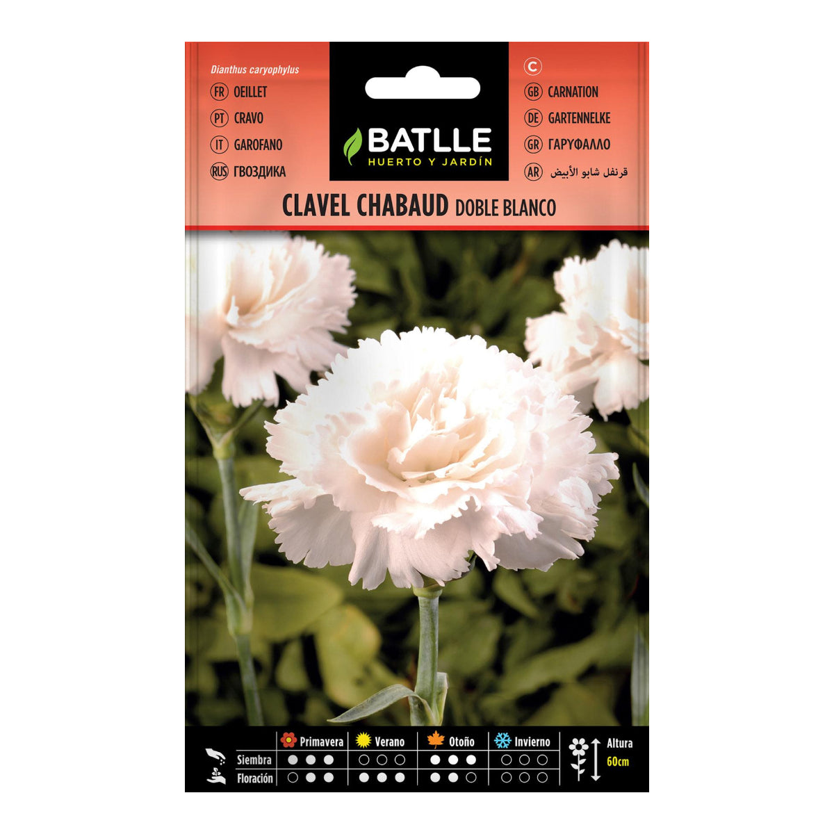 Graines de œillet double blanc Batlle