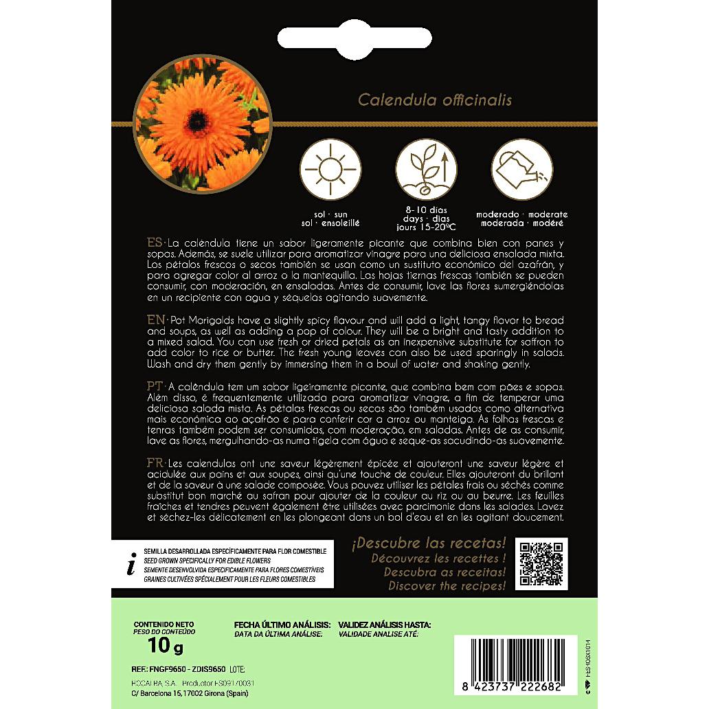 Semi di fiori commestibili di calendula Rocalba