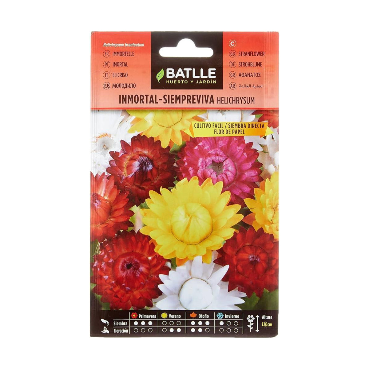 Immortal Everlasting Paper Flower Seeds Batlle