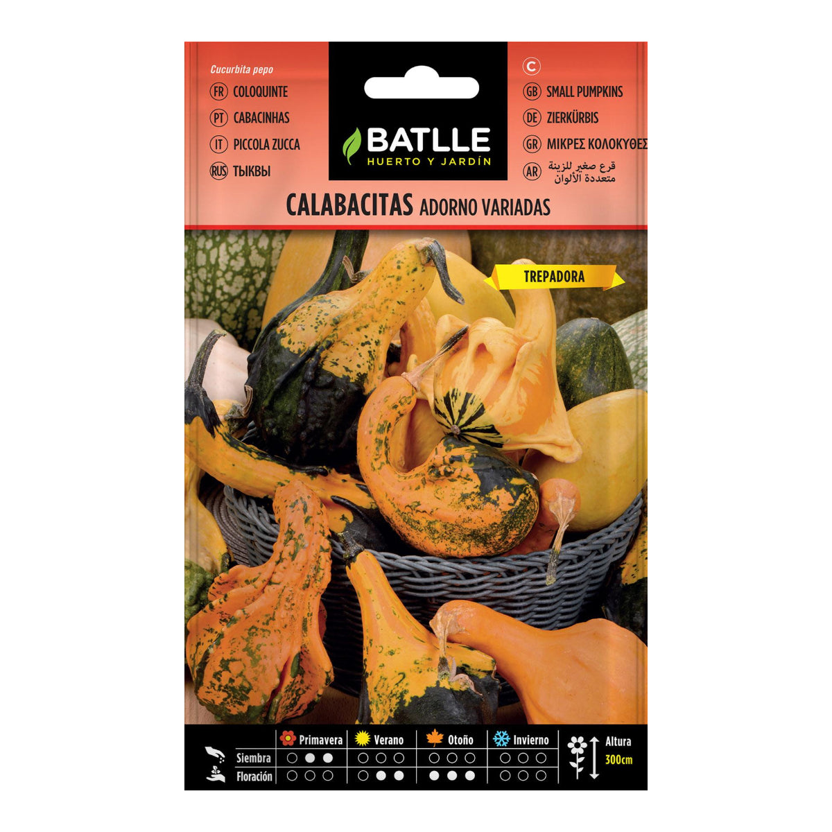 Batlle decorative courgette seeds
