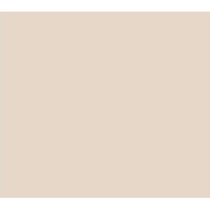 CHALK PAINT CP-38 NUDE 0,5