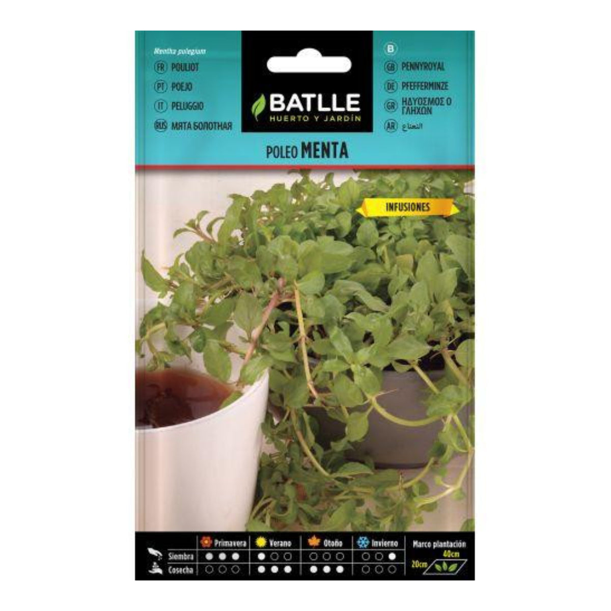 Semi di menta poleo Batlle
