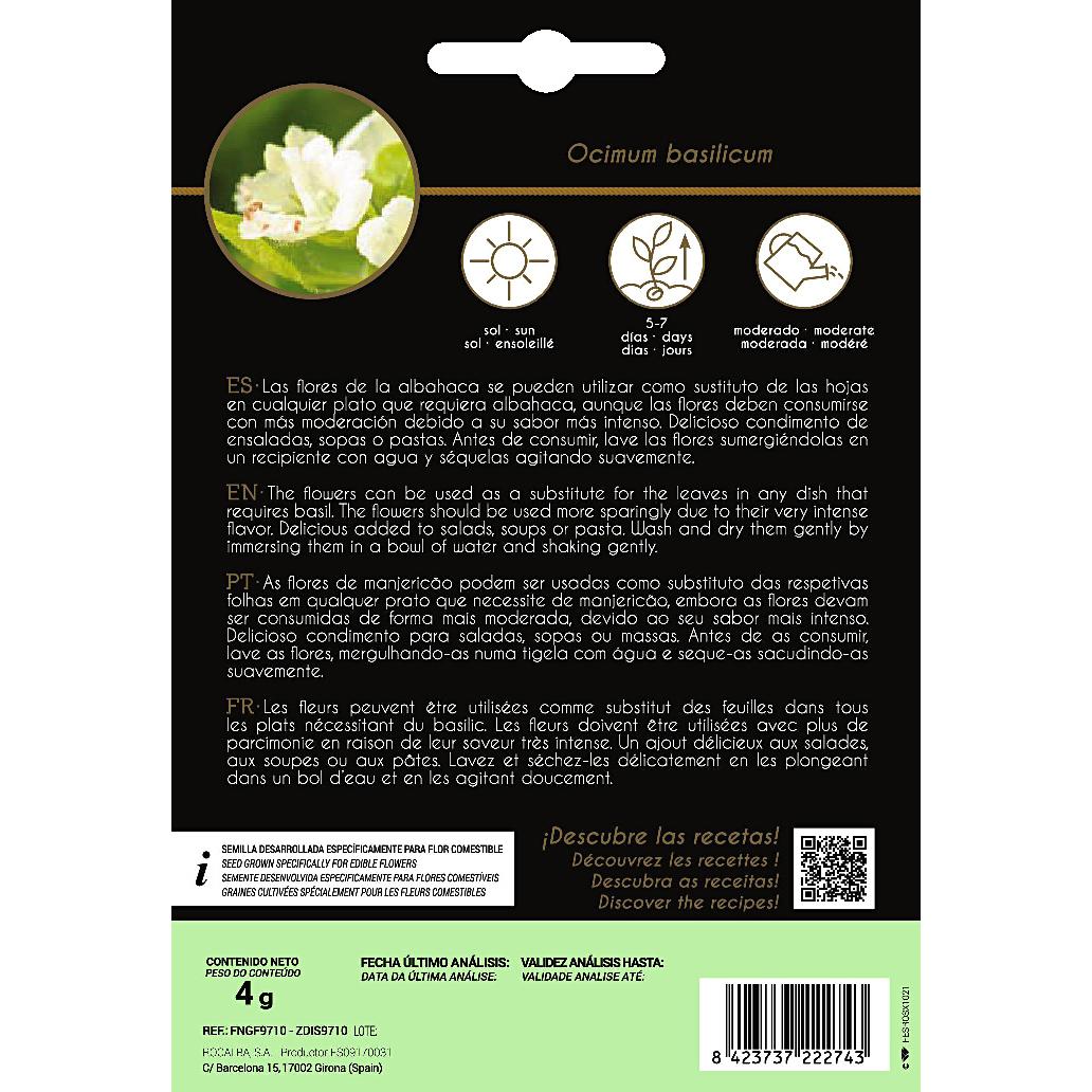 Graines de fleurs comestibles de basilic Rocalba