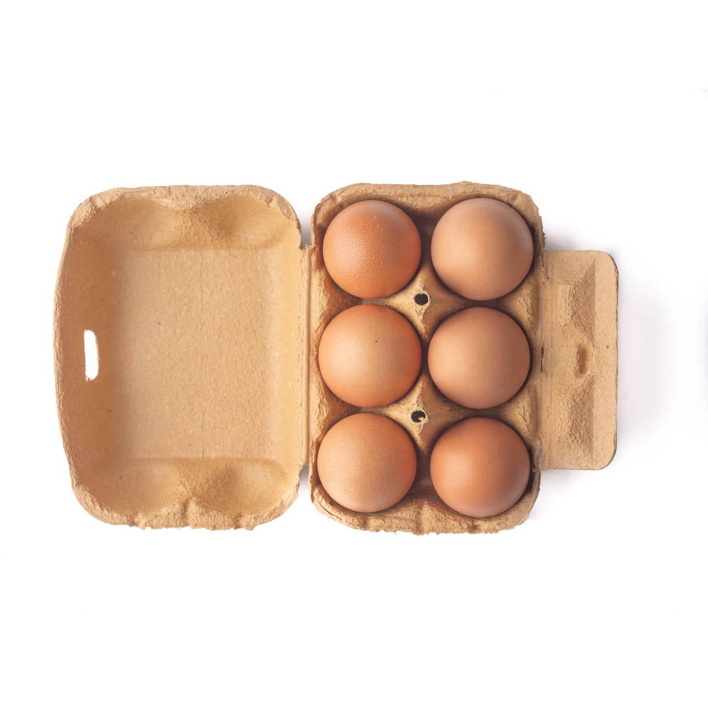 6x Planet Garden ECO Eggs