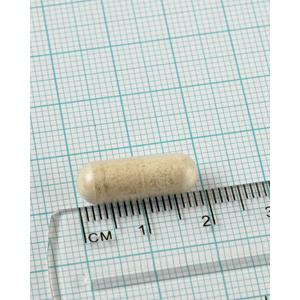 2-pack Digestizyme matsmältningsenzymer, Lamberts, 100 kapslar