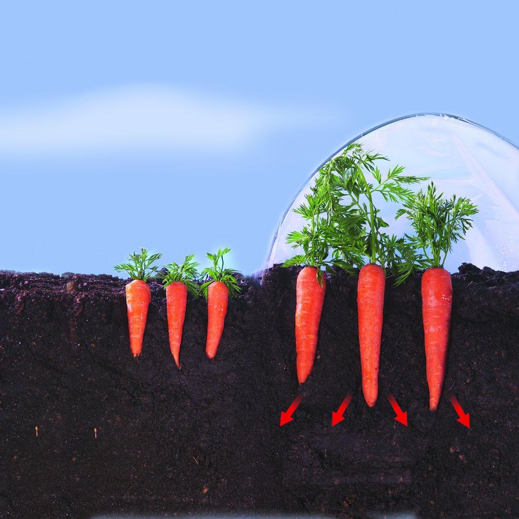 Nortene Climafilm Early Vegetable Growing Film 2 x 10 m