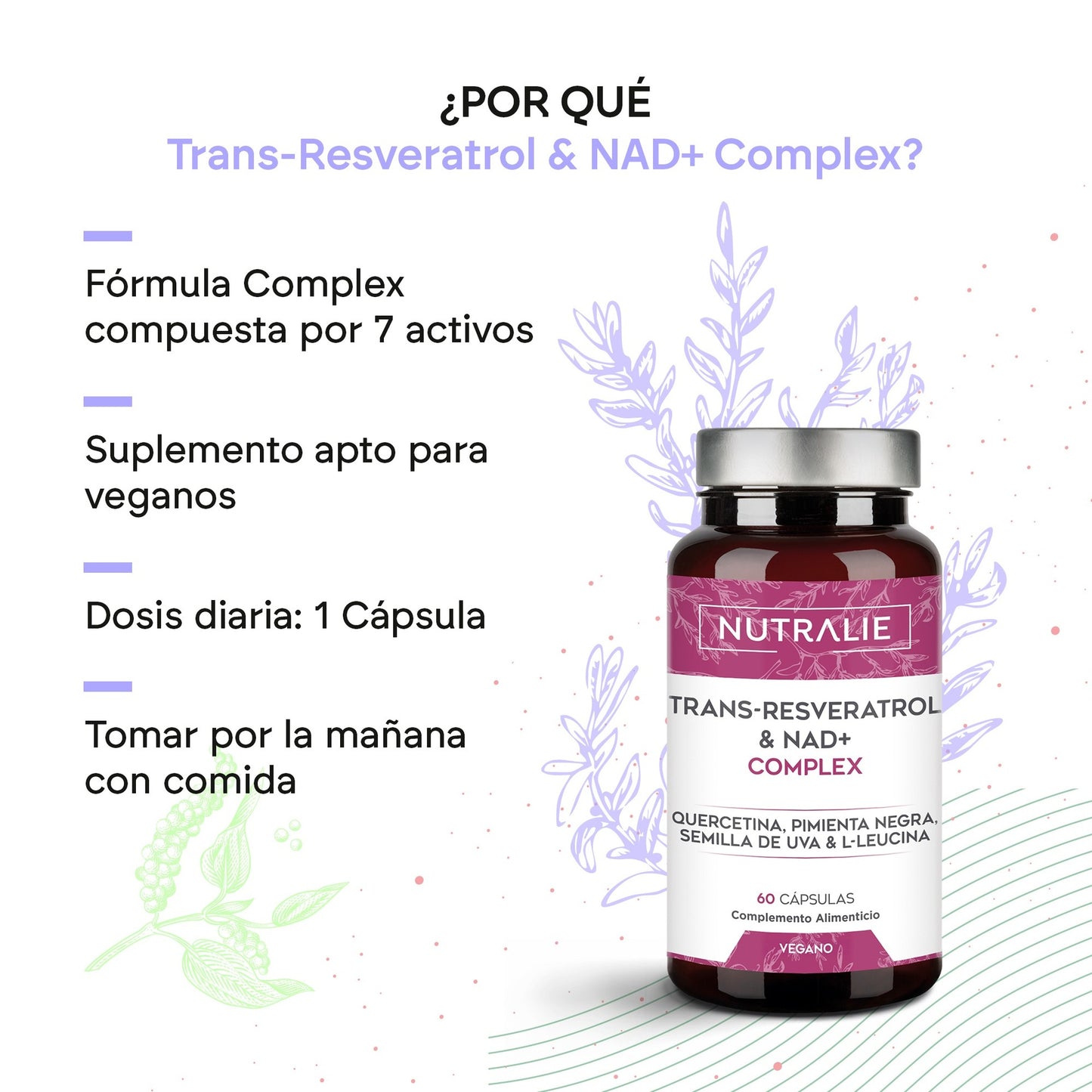 Nutralie Trans Resveratrol und NAD+ Complex 686 mg 60 Kapseln