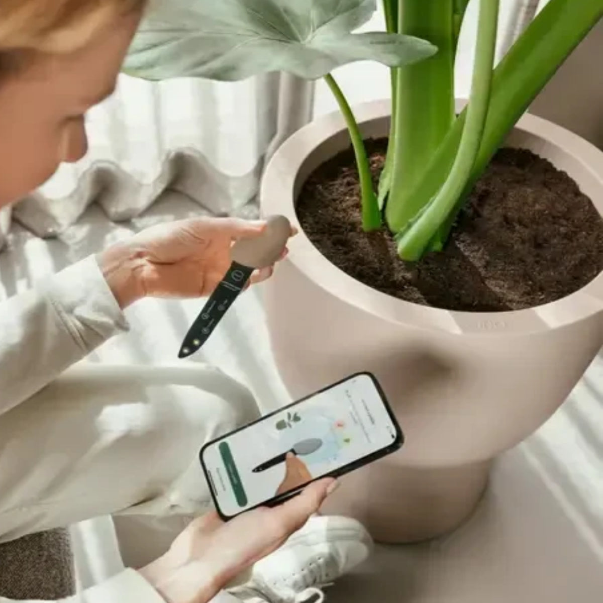 Elho Smart Pebble Digital Plant Care Assistant