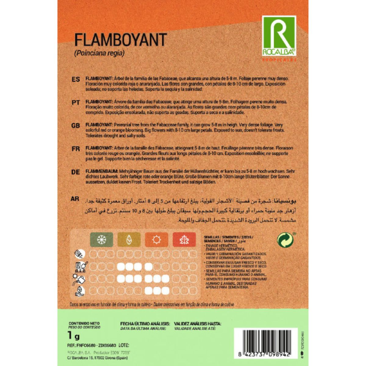 Semi di Flamboyant Ponciana regia