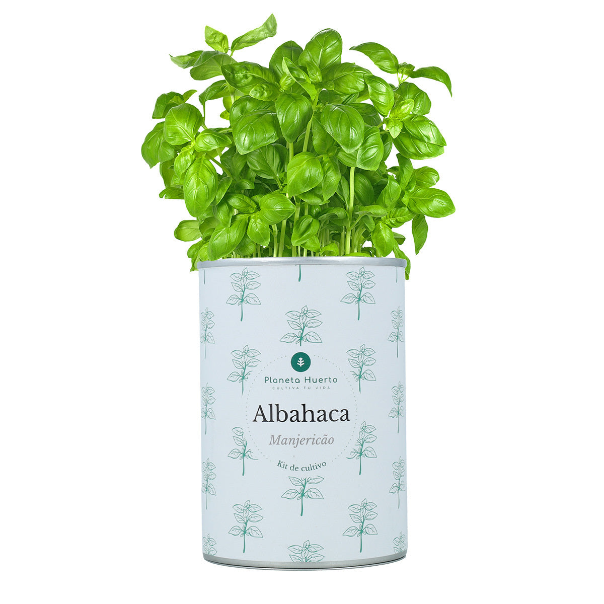 Anbausatz für aromatisches Basilikum Planeta Huerto