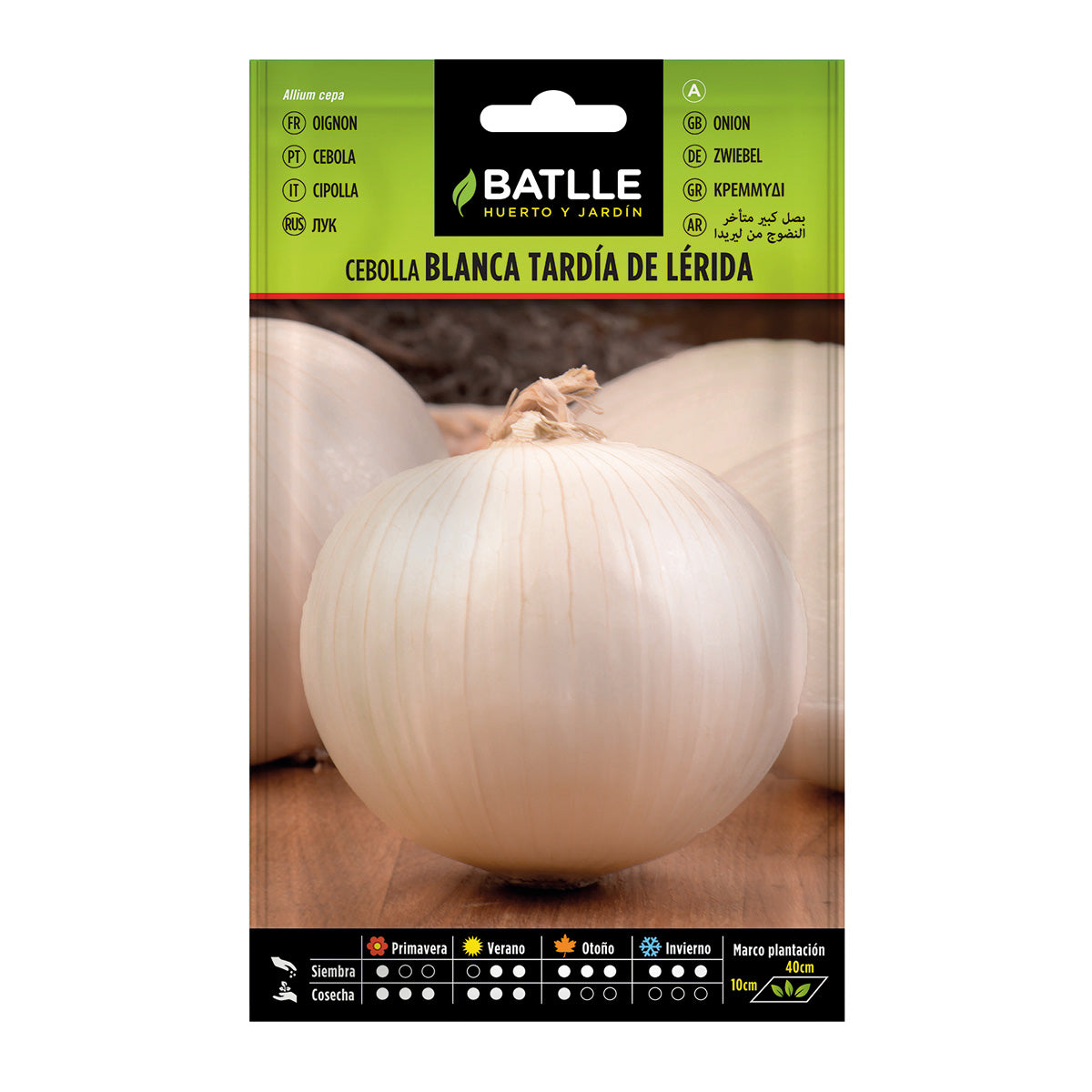 Nasiona cebuli późnej Lérida Batlle