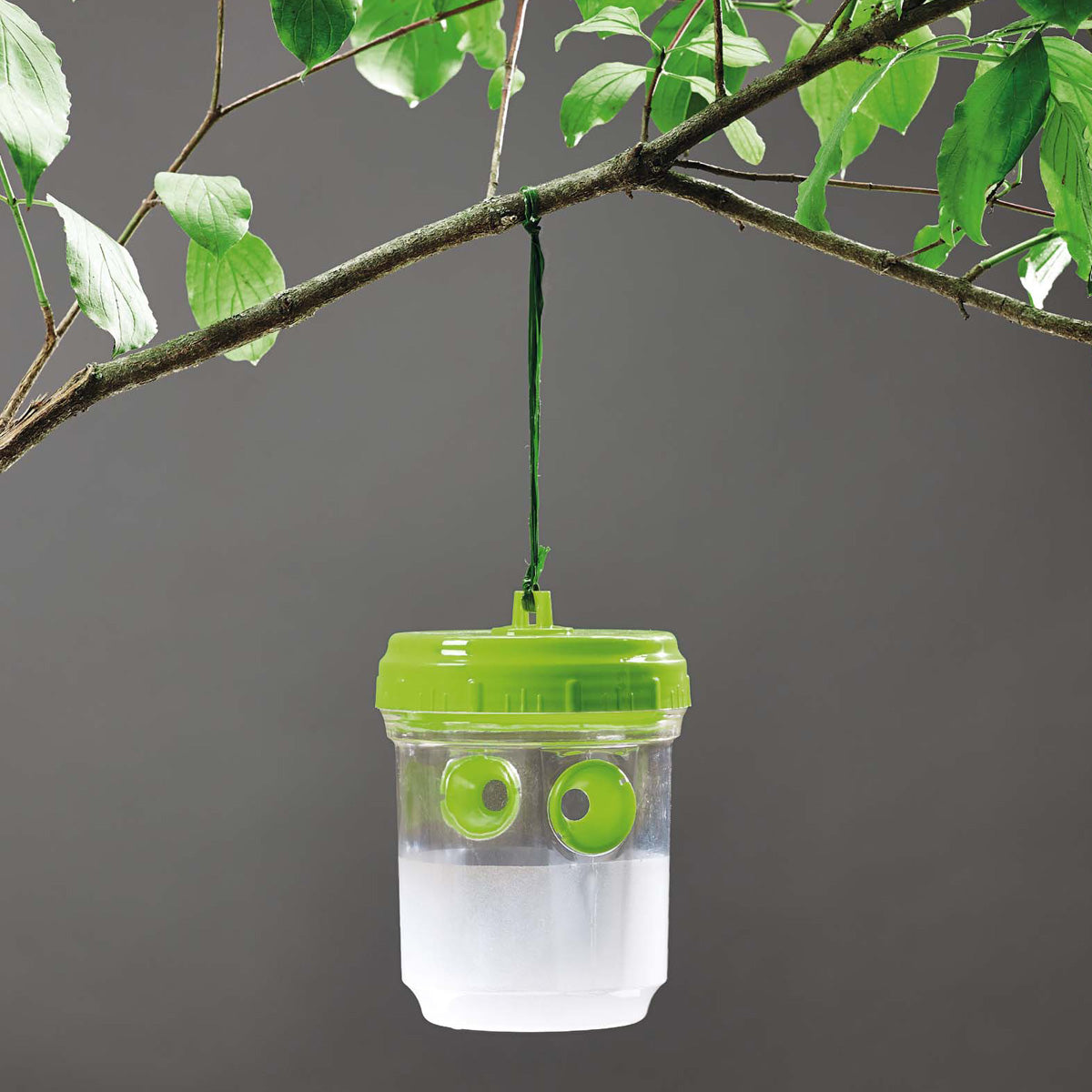 Piège à moustiques, guêpes et mouches des fruits 2 unités Verdemax