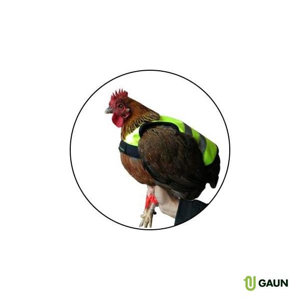 Gilet Gallinas