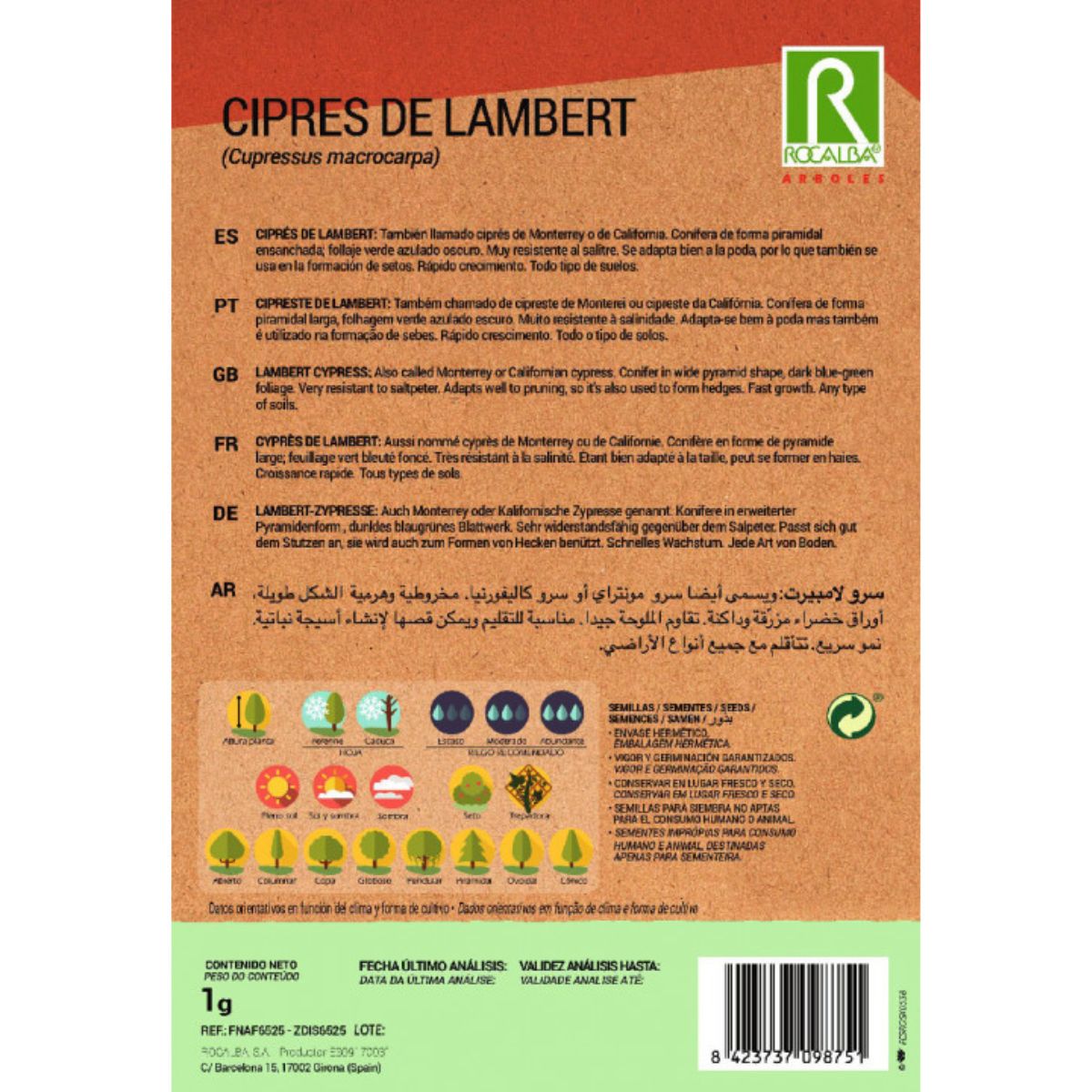 Lambertcypressfrön Cipreses macrocarpa