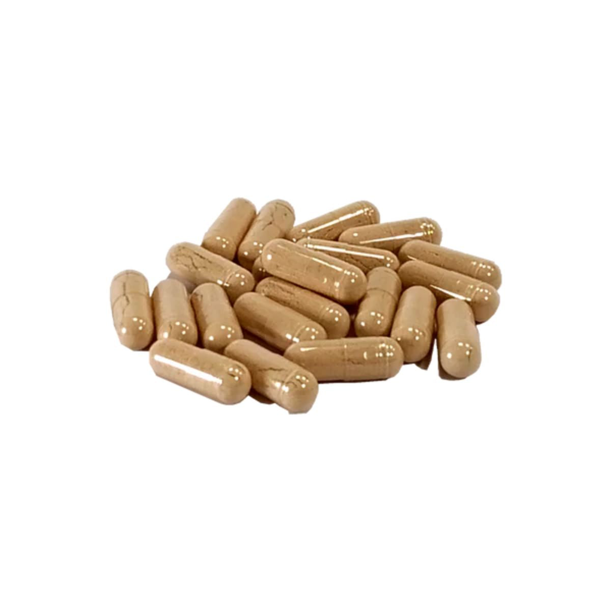 Répulsif naturel contre les tiques AniForte 60 gélules Chiens +35 kg