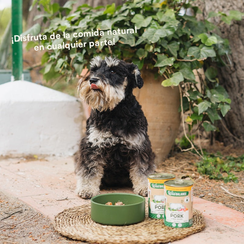 Burk med fläsk och grönsaker BARF för hundar Wild Balance 400 g