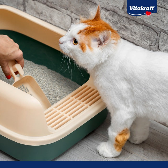 Litière agglomérante Vitakraft Compact Ultra 4 L