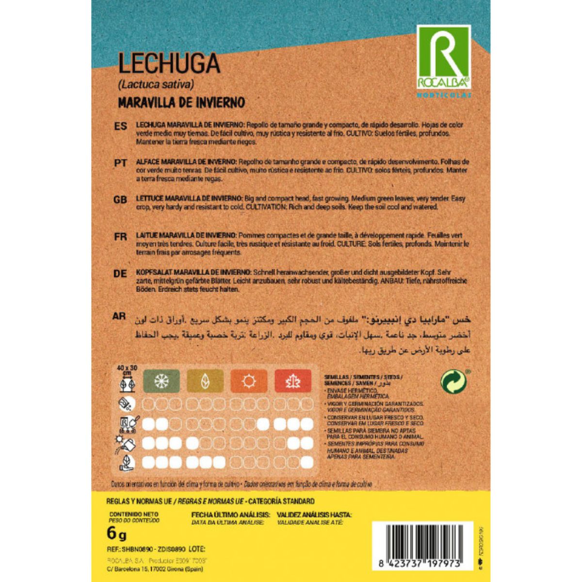 Semi di lattuga meraviglia d'inverno