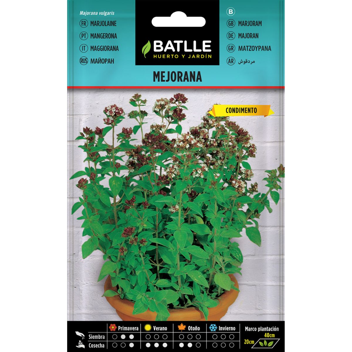 Batlle Marjoram Seeds