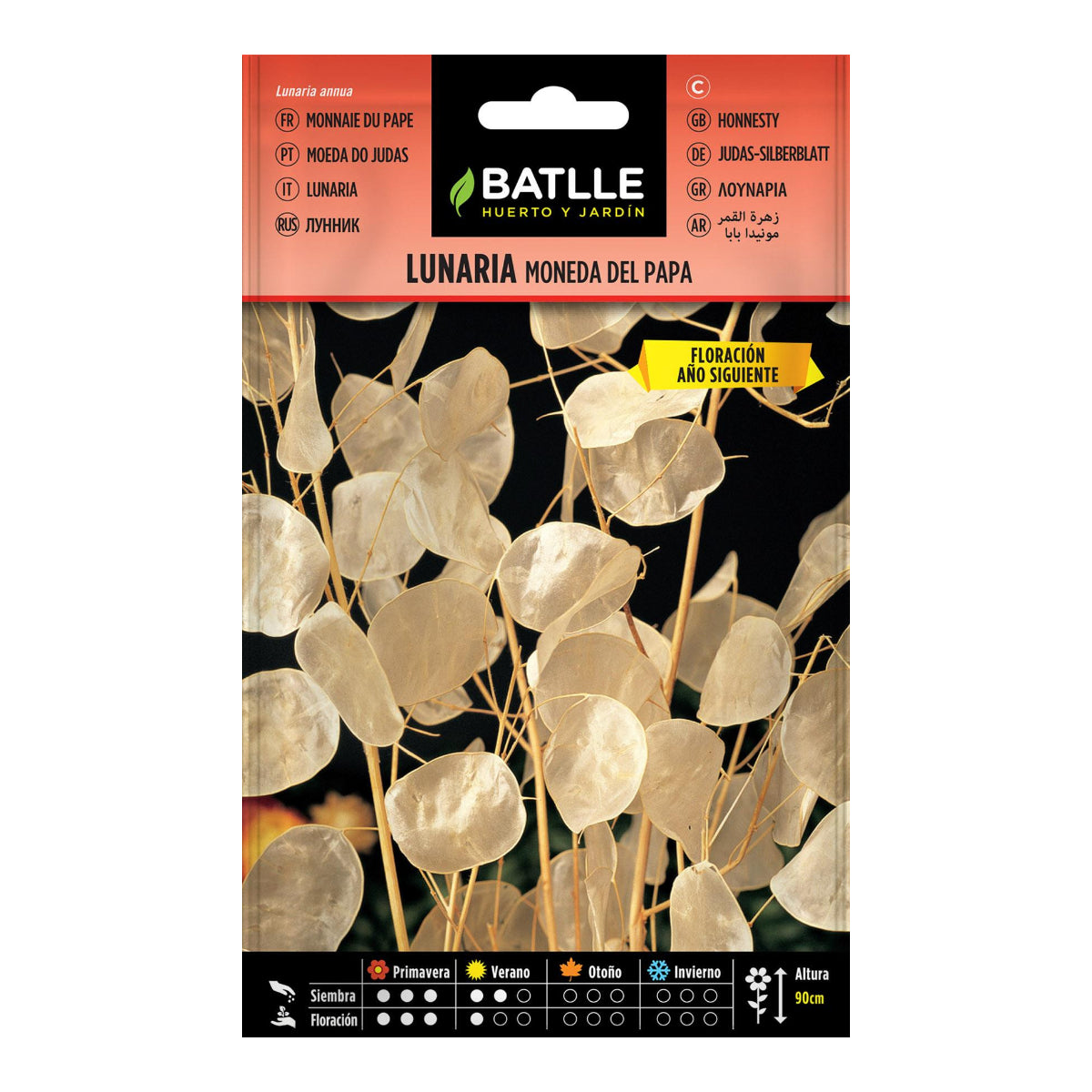 Lunaria seeds, Pope Batlle coin