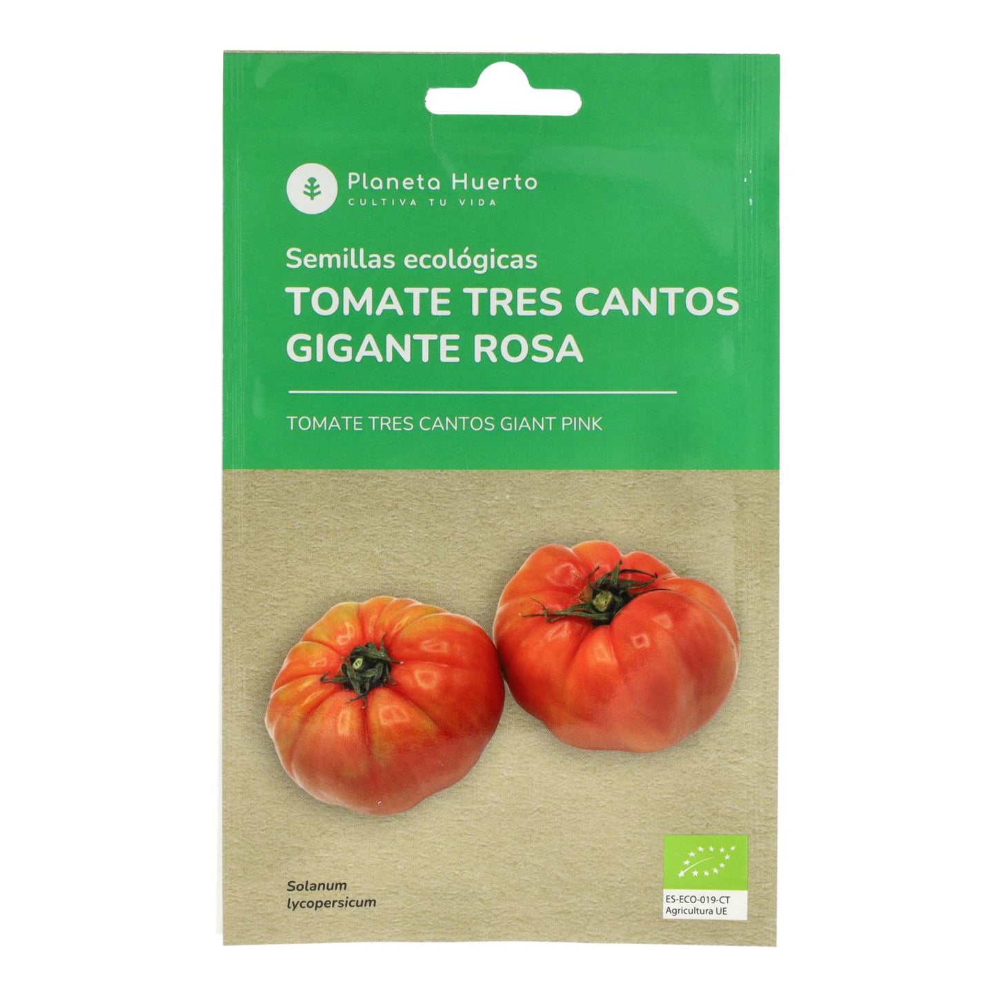 Bio-Samen der rosa Riesentomate tres cantos Planeta Huerto