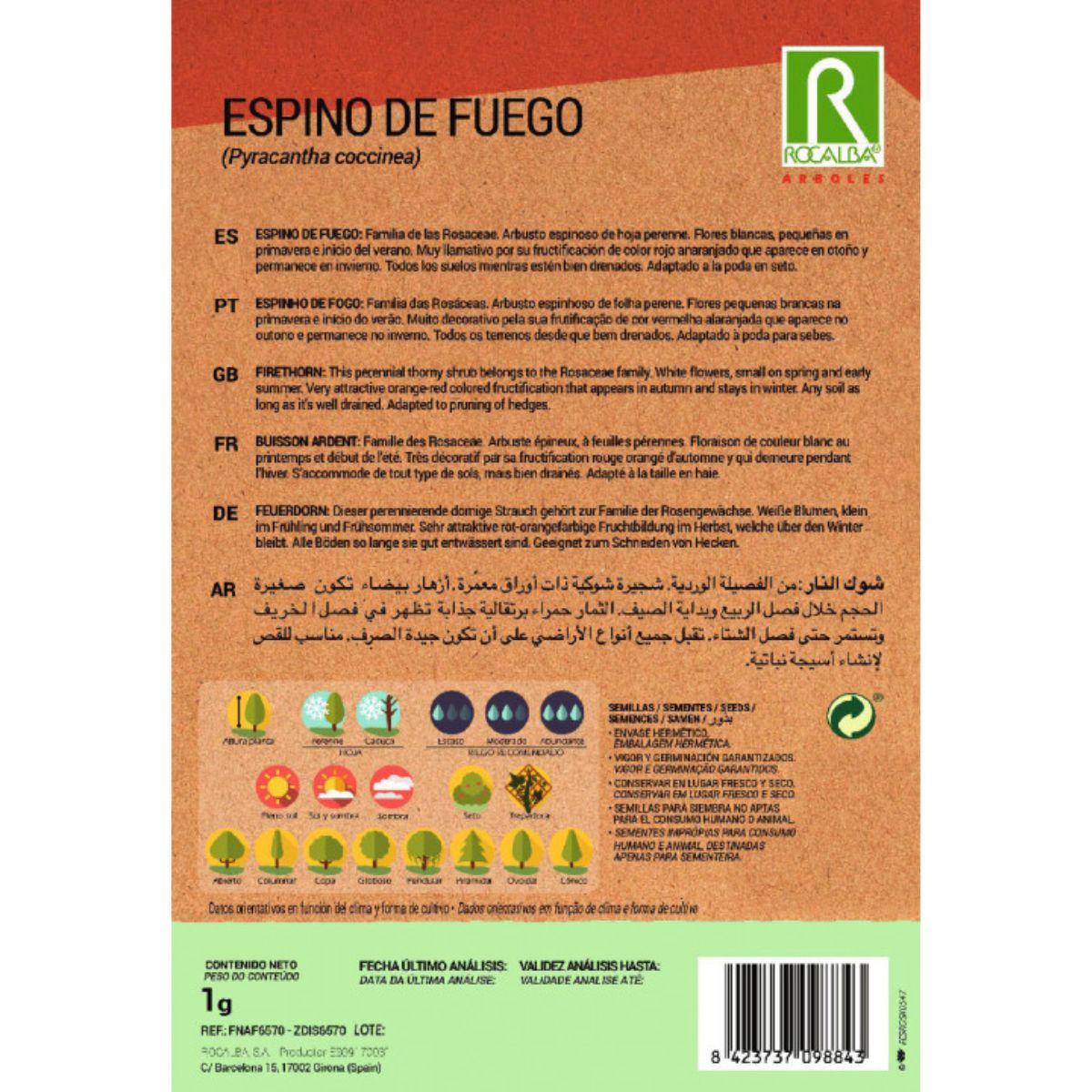 Graines d'épine-feu du diable Pyracantha coccinea