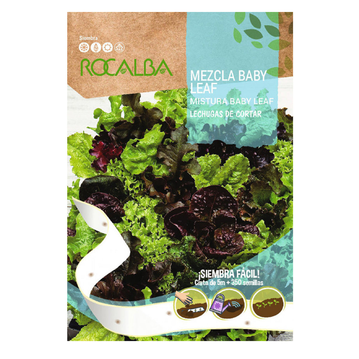 Baby Leaf Lettuce Seeds for cutting into strips, Rocalba